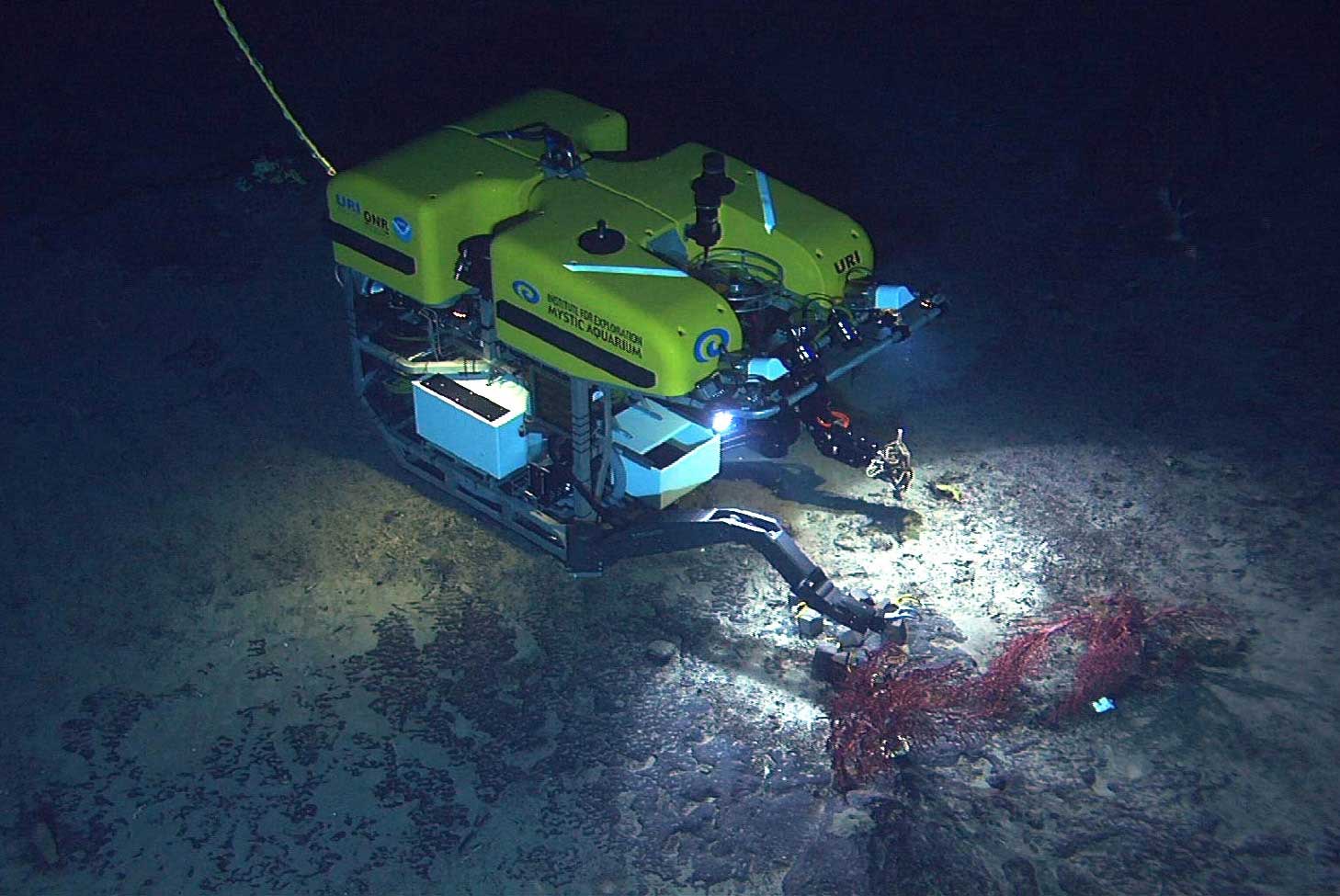 ROV-CORAL-Ocean